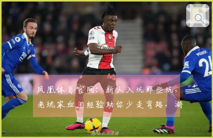 凤凰体育官网：新人入坑那些坑，老玩家血泪经验助你少走弯路，游戏玩法脱胎换骨