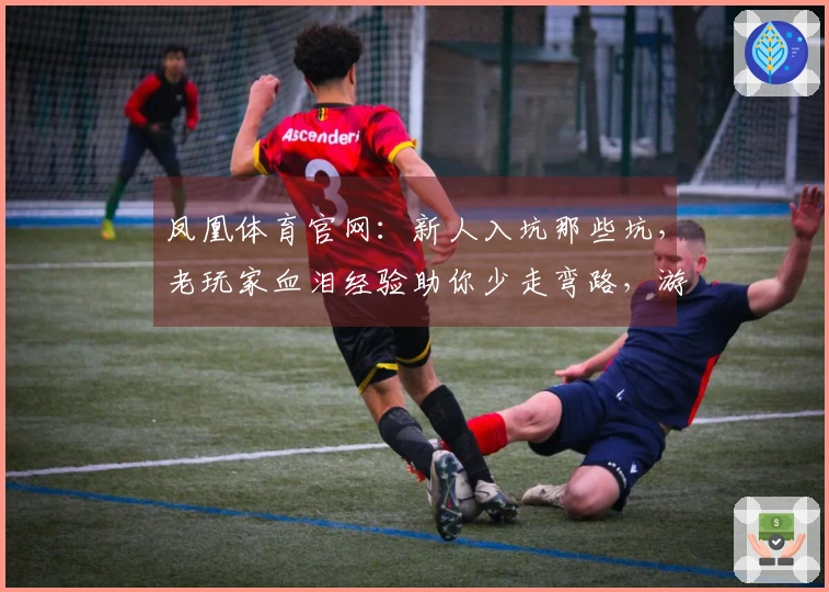 凤凰体育官网：新人入坑那些坑，老玩家血泪经验助你少走弯路，游戏玩法脱胎换骨